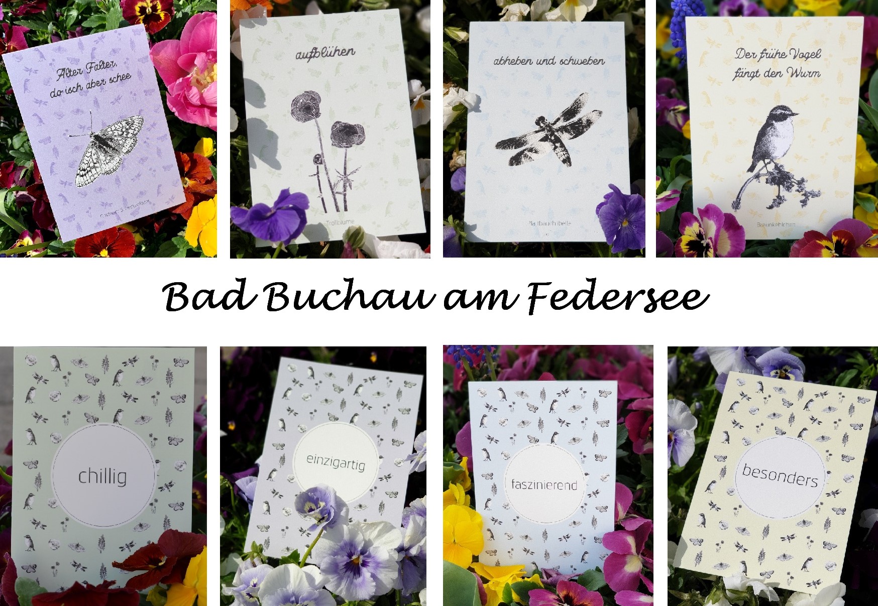  Postkartenserie Bad Buchau mit 8 Karten 