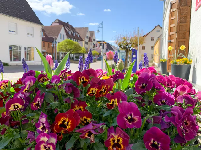Blumen am Marktplatz